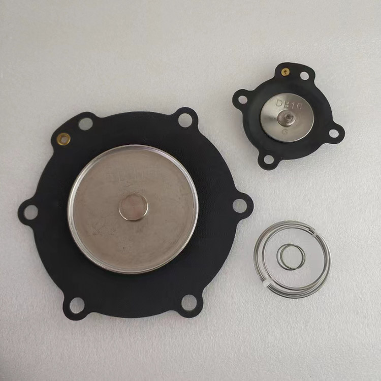 DB116 Nitril Diafraqma VNP216 üçün təmir dəstləri