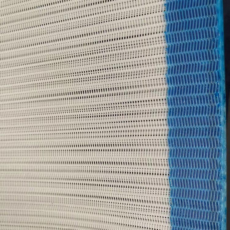 Pet spiral filtr-mətbuat mesh